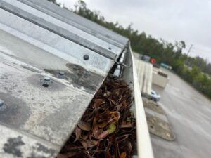 Gutter Cleaning in Panama City FL | Professional Service by Gutter Professor