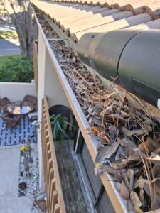 Keeping your gutters clean is one of the easiest ways to protect your home from water damage. At Gutter Professor, we provide professional gutter cleaning systems for homeowners in Sarasota, FL — designed to keep rainwater flowing freely all year long.
