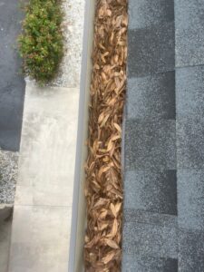 Let Gutter Professor handle your gutter cleaning in Saint Petersburg, FL — fast, safe, and professional.