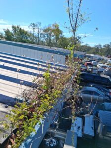 If your gutters are overflowing, pulling away from the home, or full of leaves and dirt, it’s time to call the experts at Gutter Professor.